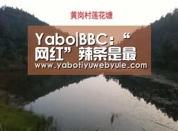 Yabo|BBC:“网红”辣条是最受中国年轻人欢迎零食(图)(图2) 亚博娱乐