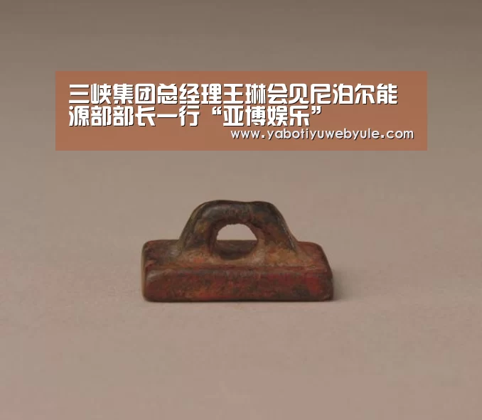 三峡集团总经理王琳会见尼泊尔能源部部长一行“亚博娱乐”(图3) 亚博体育